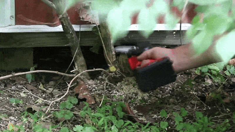 WoodRangerChainsaw