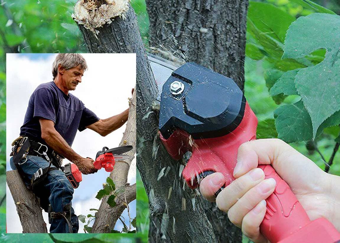 WoodRangerChainsaw